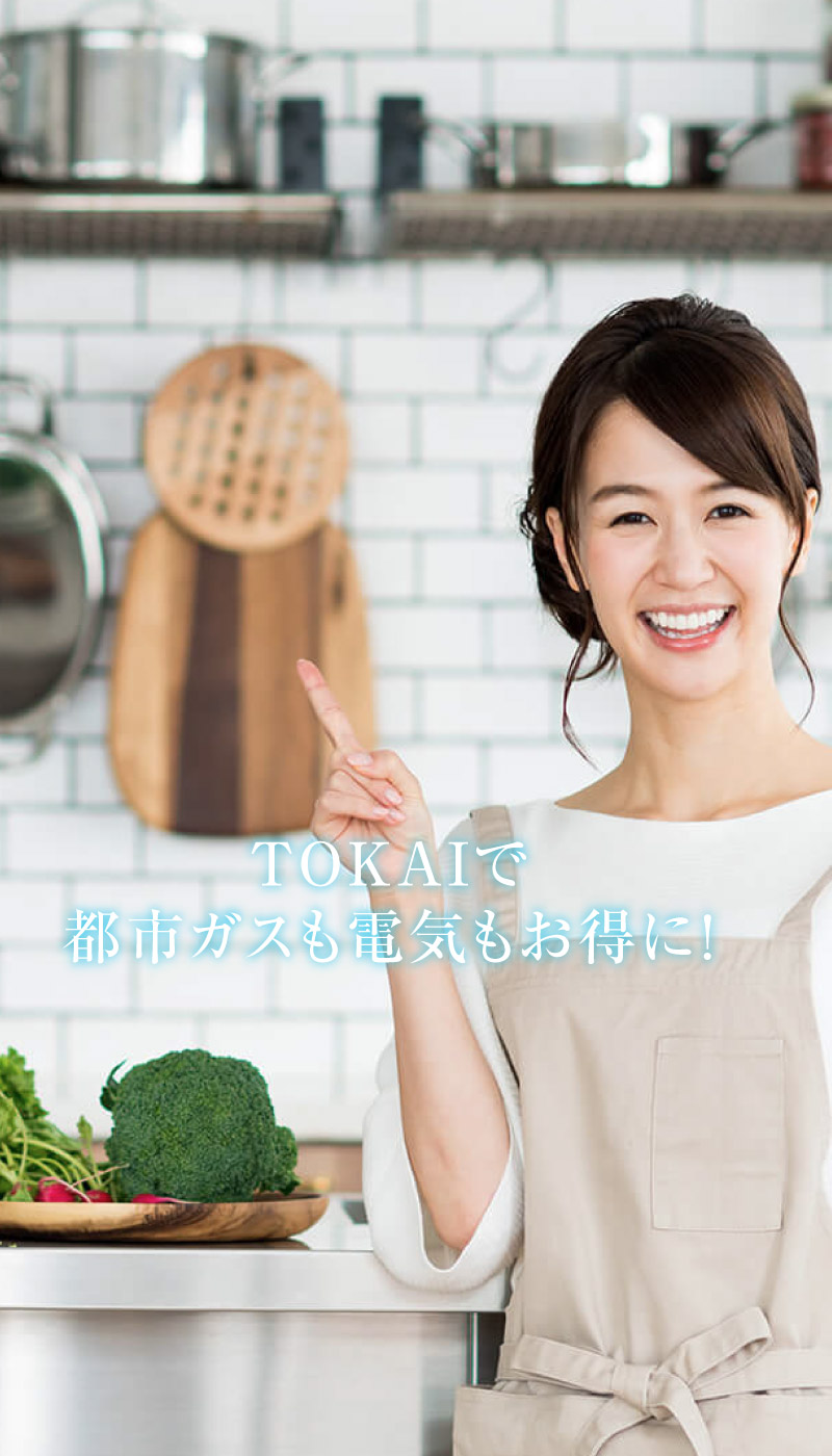Tokai 都市ガス でんき